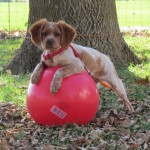 Lyric and the big blue ball 007